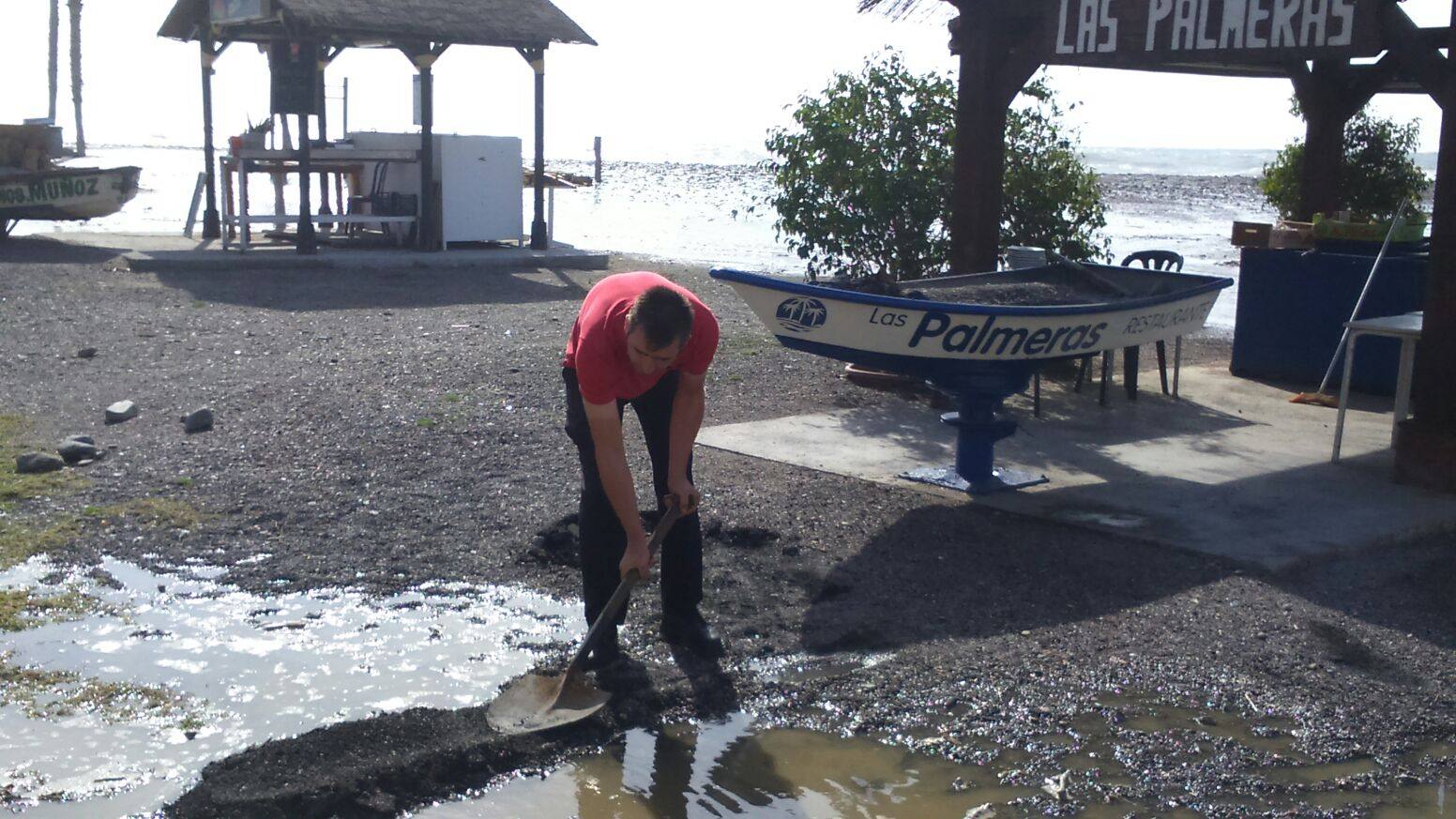 Zona de Las Acacias de Pedregalejo. 