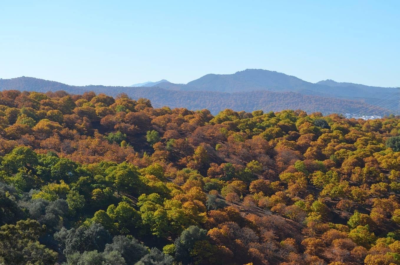 Panorámica el Alto Valle del Genal.