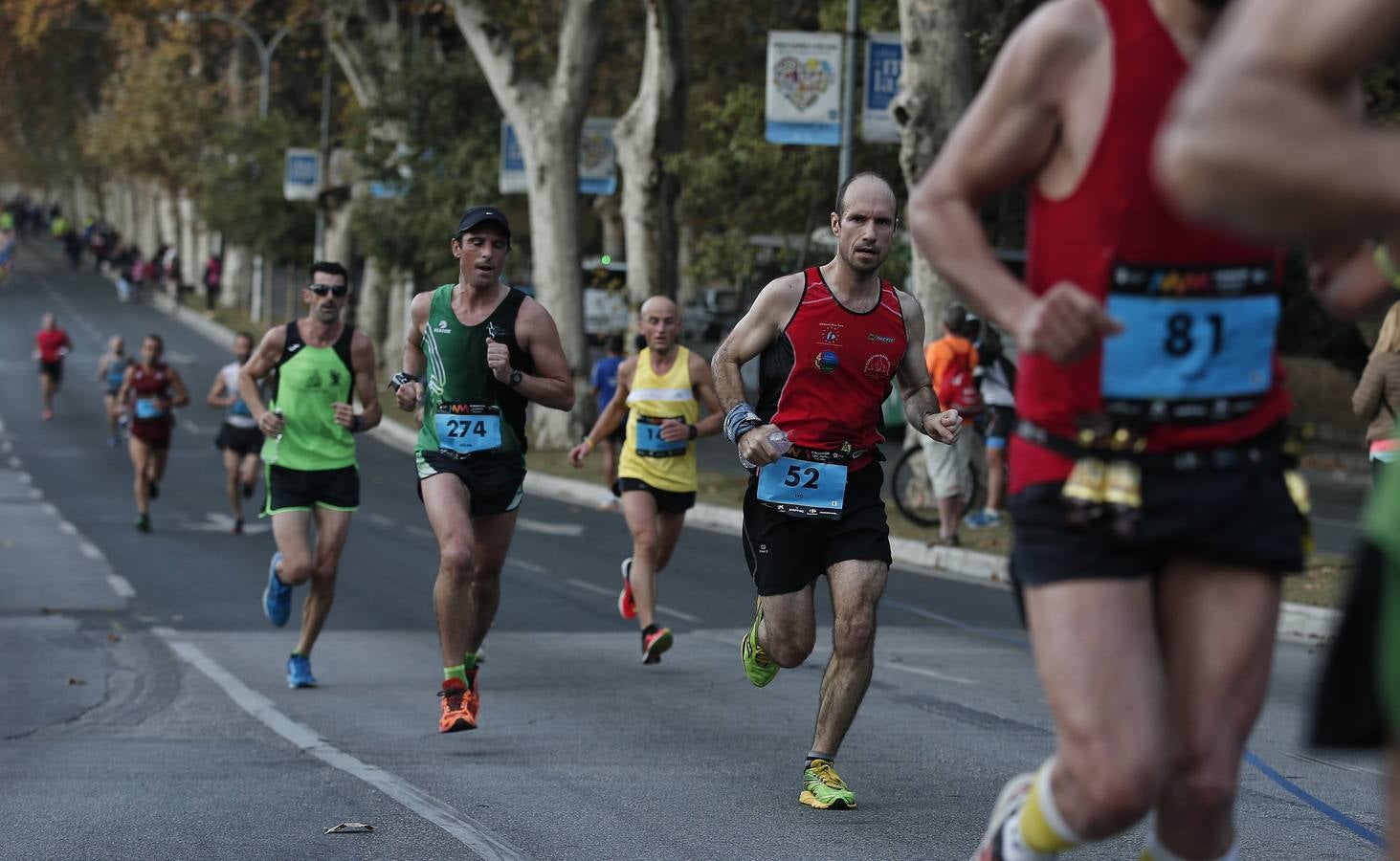 VI Maratón Cabberty, en imágenes (VI)