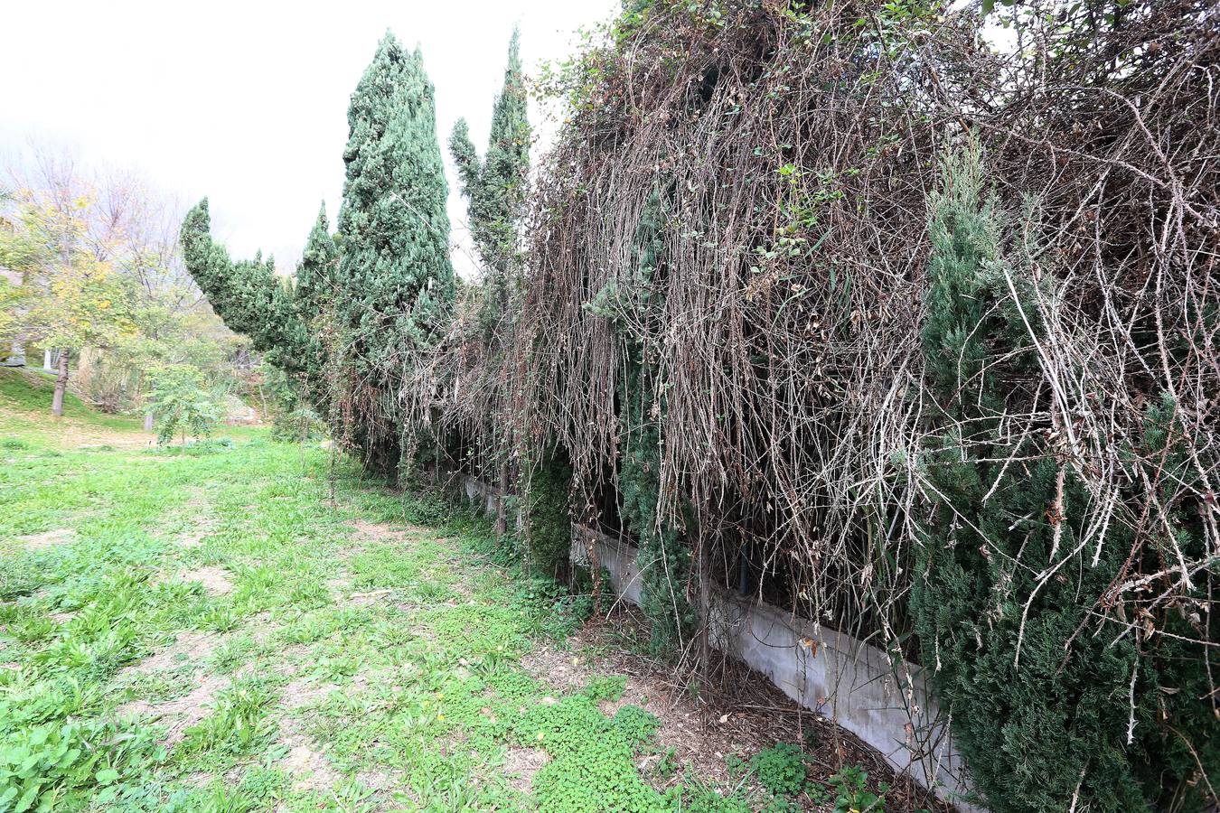 Imágenes del estado que presenta La Concepción