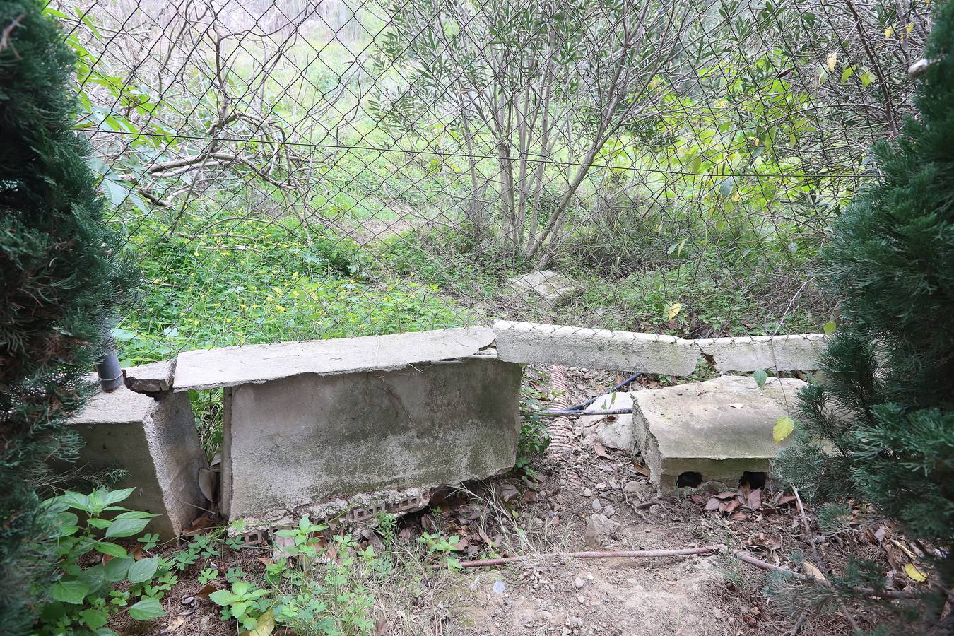 Imágenes del estado que presenta La Concepción