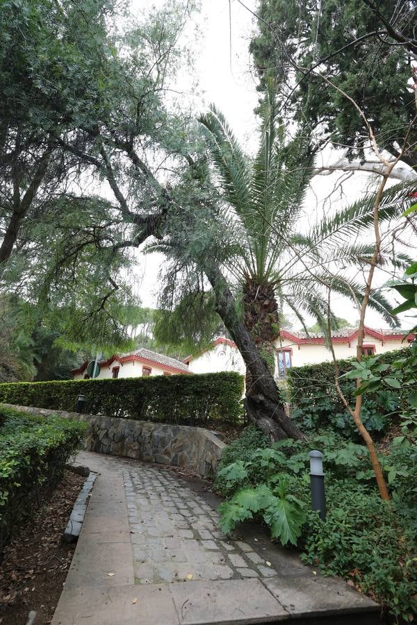 Imágenes del estado que presenta La Concepción