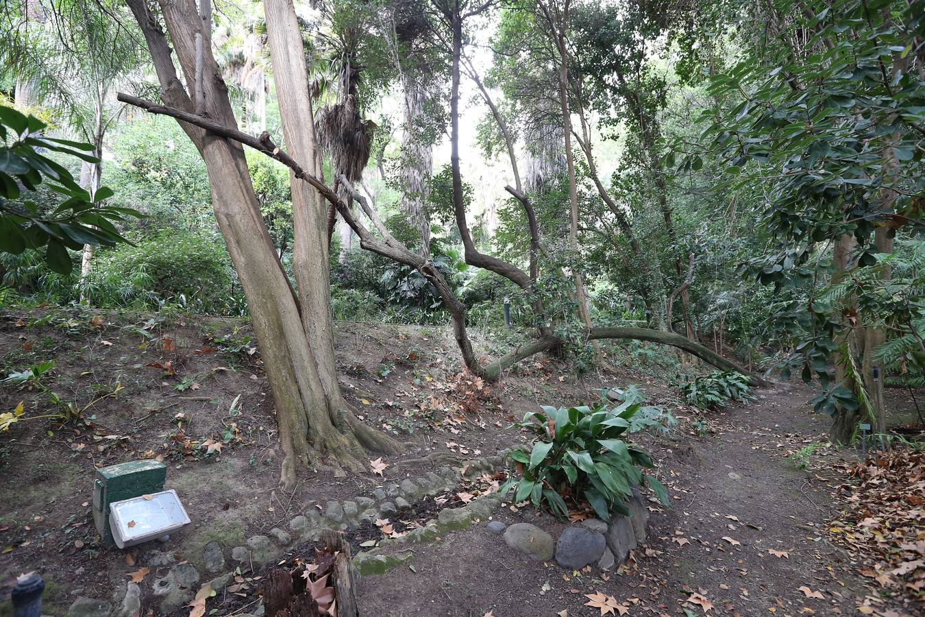 Imágenes del estado que presenta La Concepción