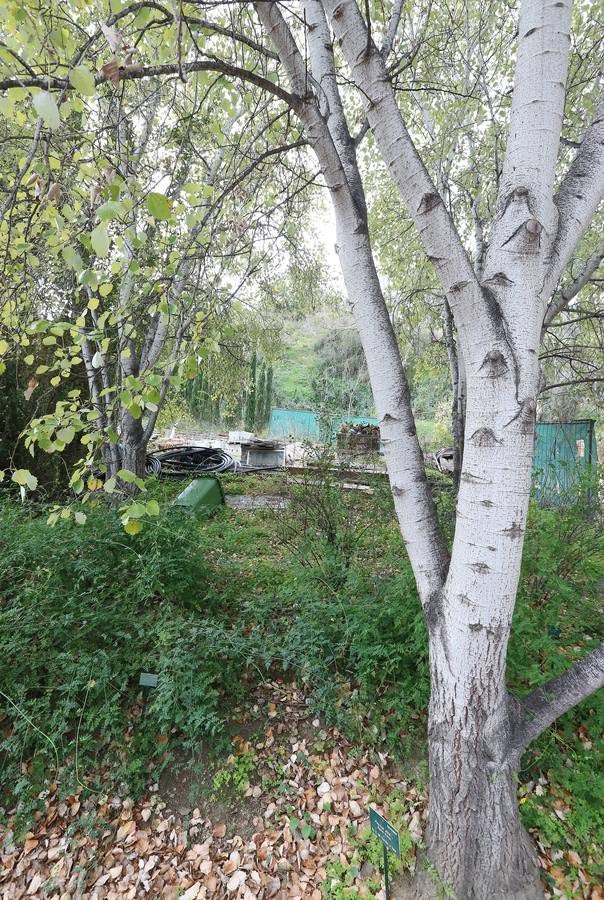 Imágenes del estado que presenta La Concepción