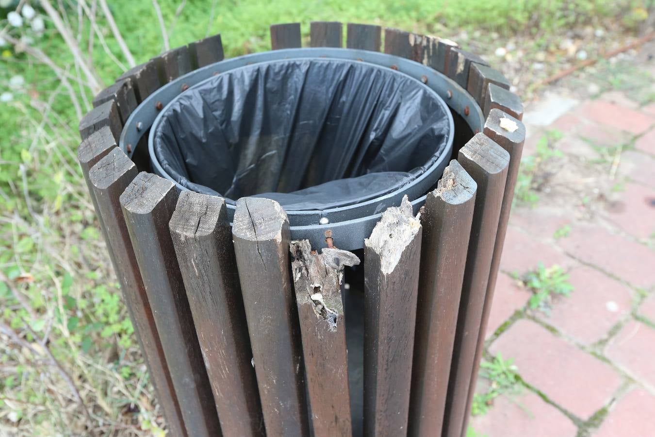 Imágenes del estado que presenta La Concepción