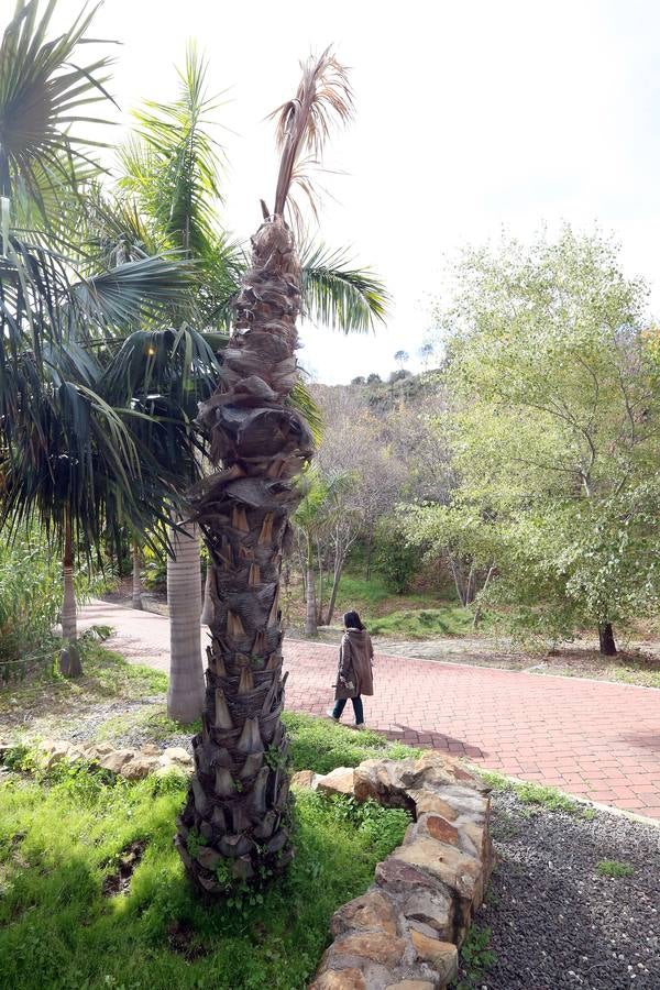 Imágenes del estado que presenta La Concepción