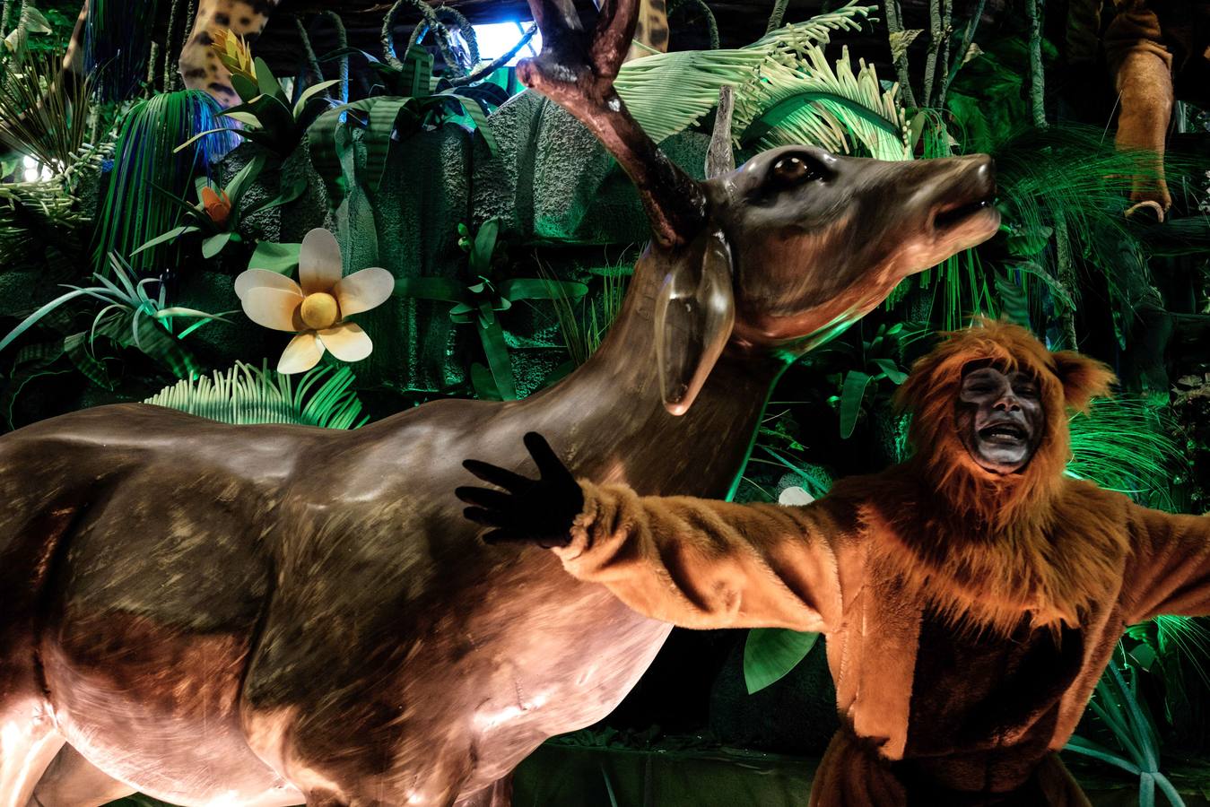 El Carnaval de Río al son del mosquito