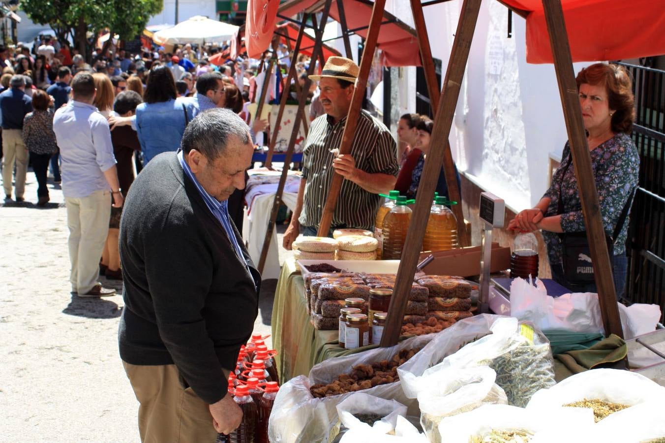 El Día de la Habaen Villanueva de la Concepción