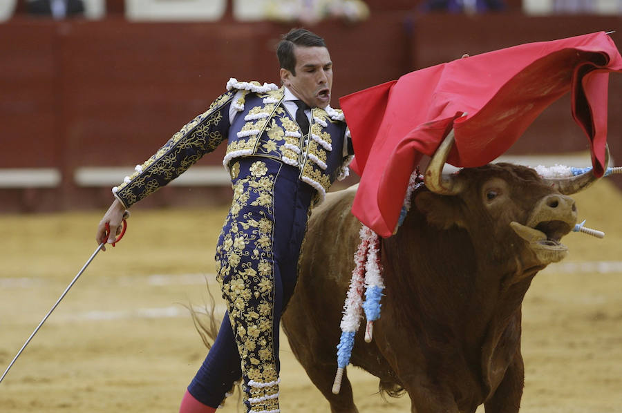 La reaparición de José Tomás en Jerez, en fotos