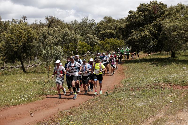 Corredores en los 101 kilómetros de Ronda