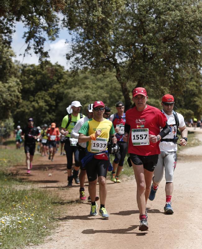 Corredores en los 101 kilómetros de Ronda