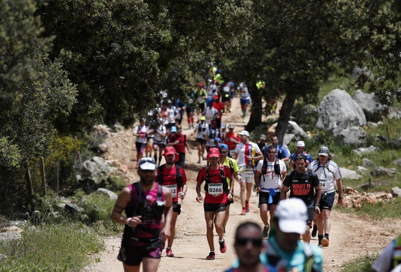 Corredores en los 101 kilómetros de Ronda