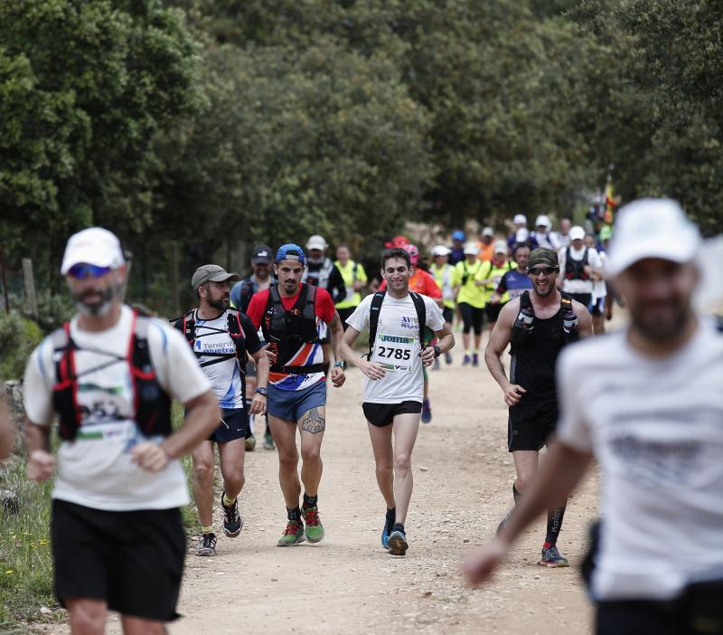 Corredores en los 101 kilómetros de Ronda