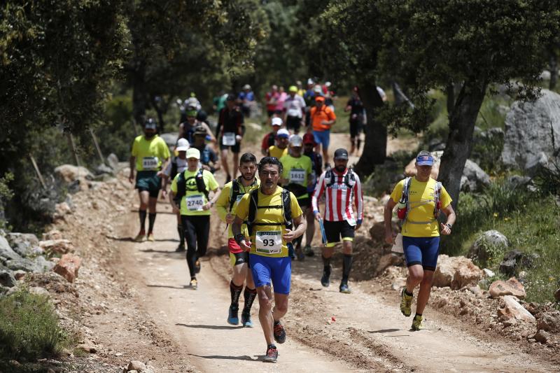 Corredores en los 101 kilómetros de Ronda