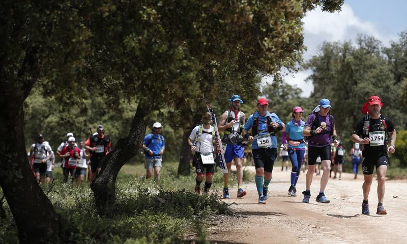 Corredores en los 101 kilómetros de Ronda