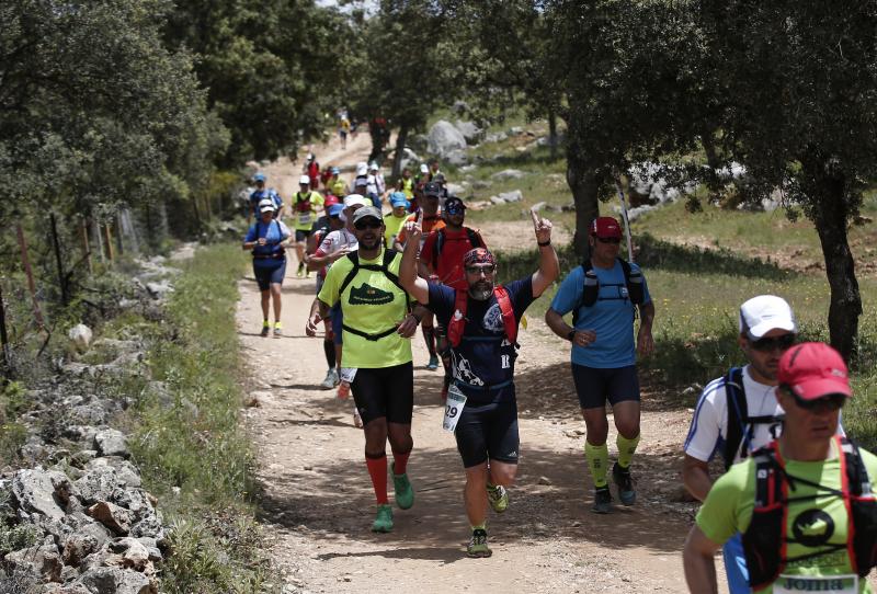 Corredores en los 101 kilómetros de Ronda