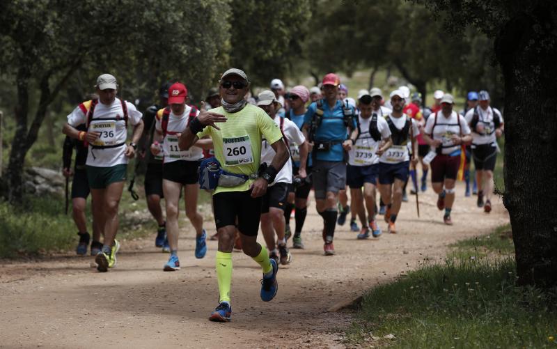 Corredores en los 101 kilómetros de Ronda