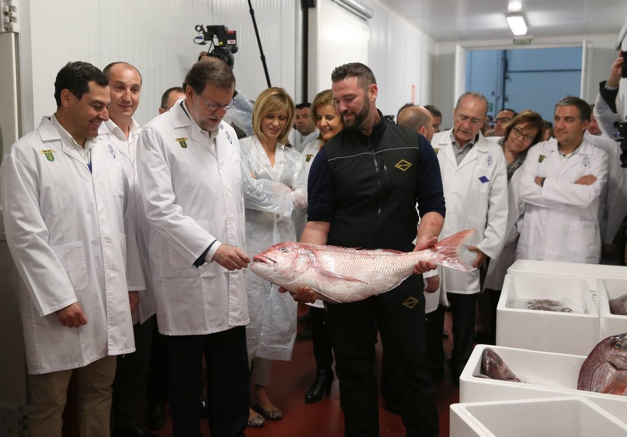 Fotos de la visita de Mariano Rajoy a la empresa malagueña Román y Martos