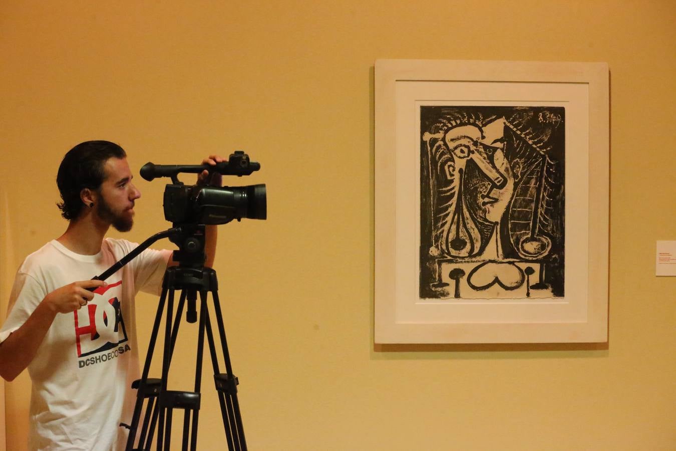 Exposición &#039;El canto de los signos&#039;, en la Casa Natal de Picasso