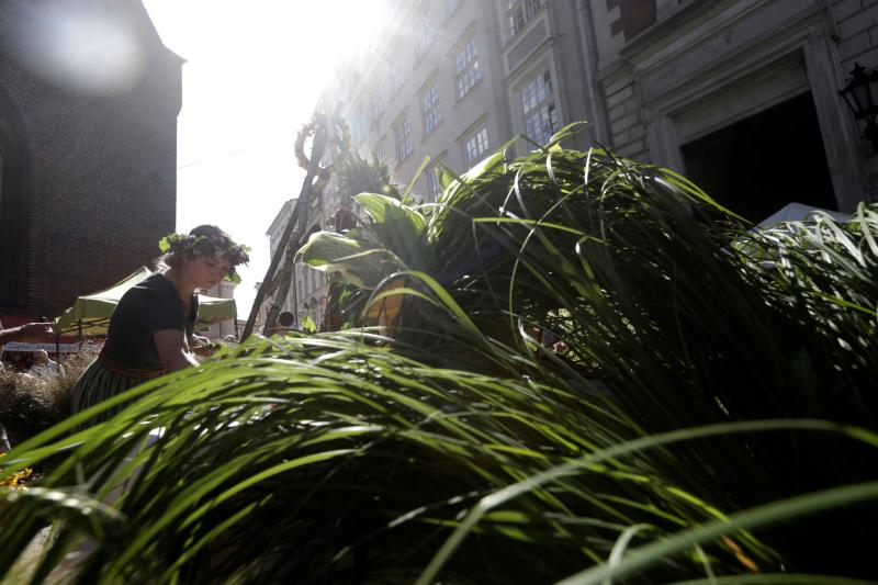 Riga se llena de flores y hierbas salvajes