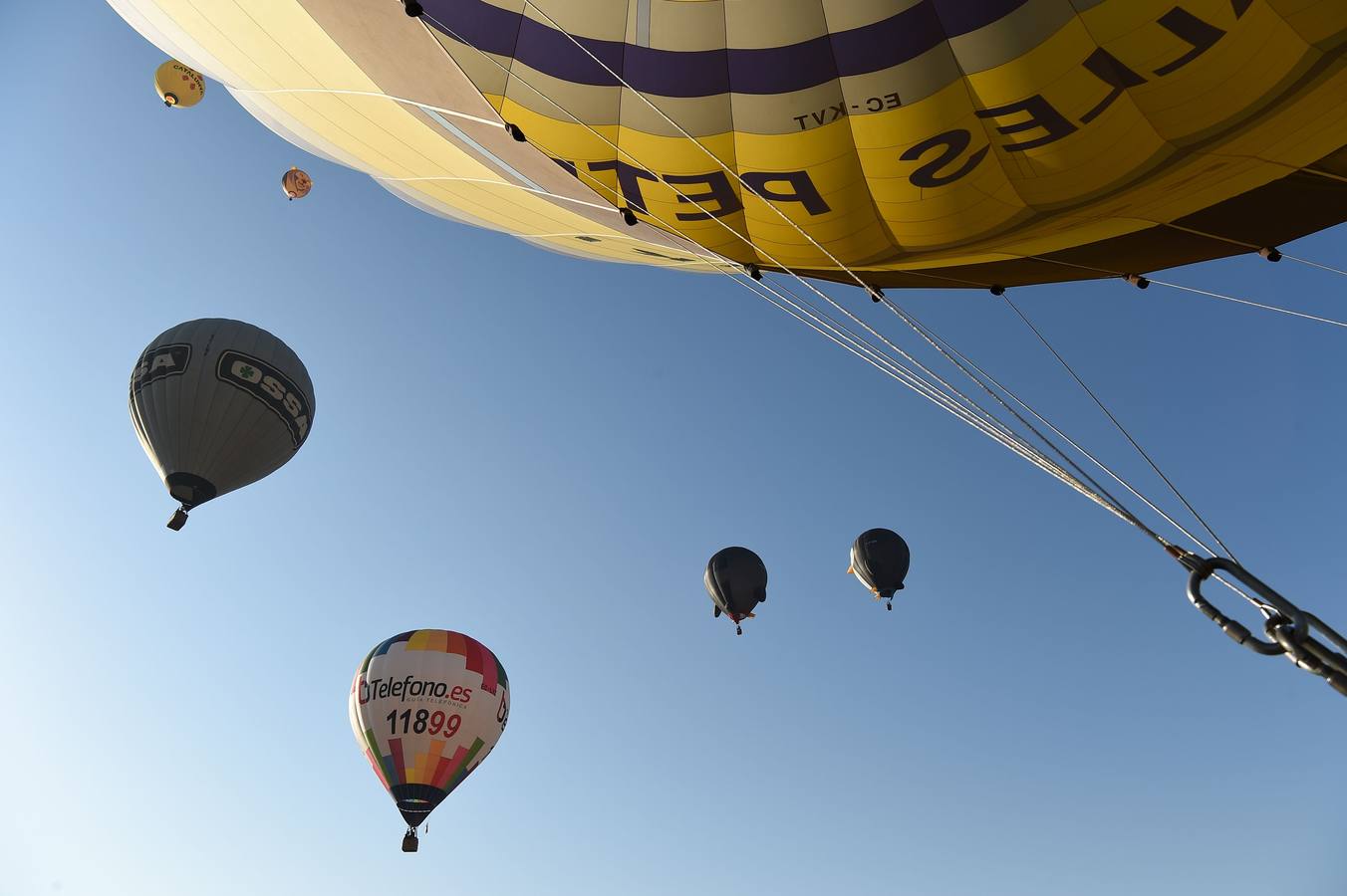 Celebración del European Balloon Festival