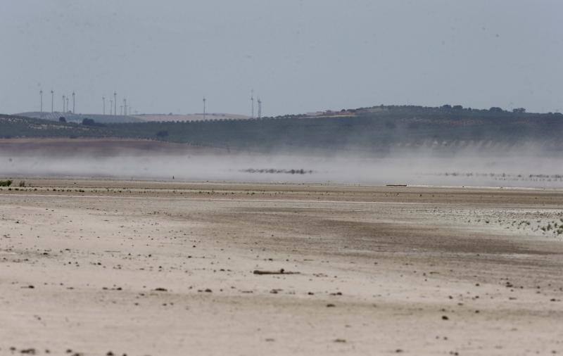 Fotos de la Laguna de Fuente de Piedra, que se queda sin crías de flamencos