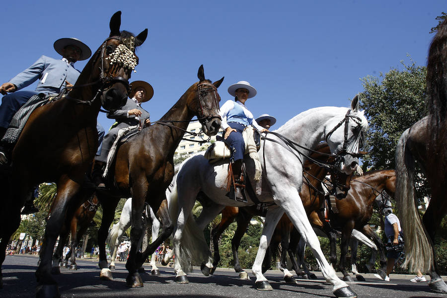 Fotos de la Romería al Santuario de la Victoria 2016