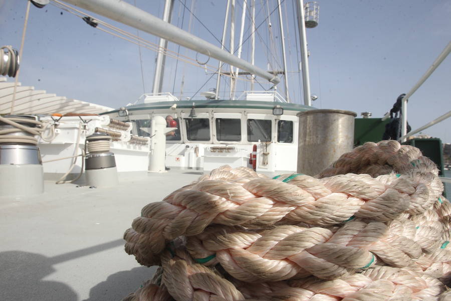 El &#039;Rainbow Warrior&#039;, en imágenes