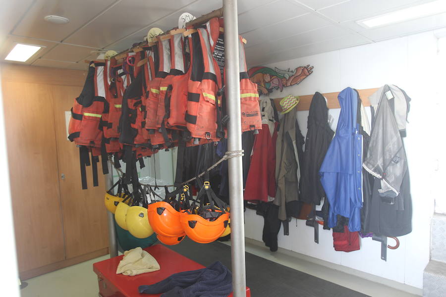 El &#039;Rainbow Warrior&#039;, en imágenes