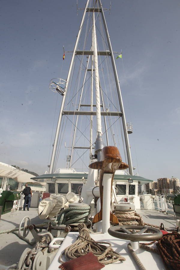 El &#039;Rainbow Warrior&#039;, en imágenes