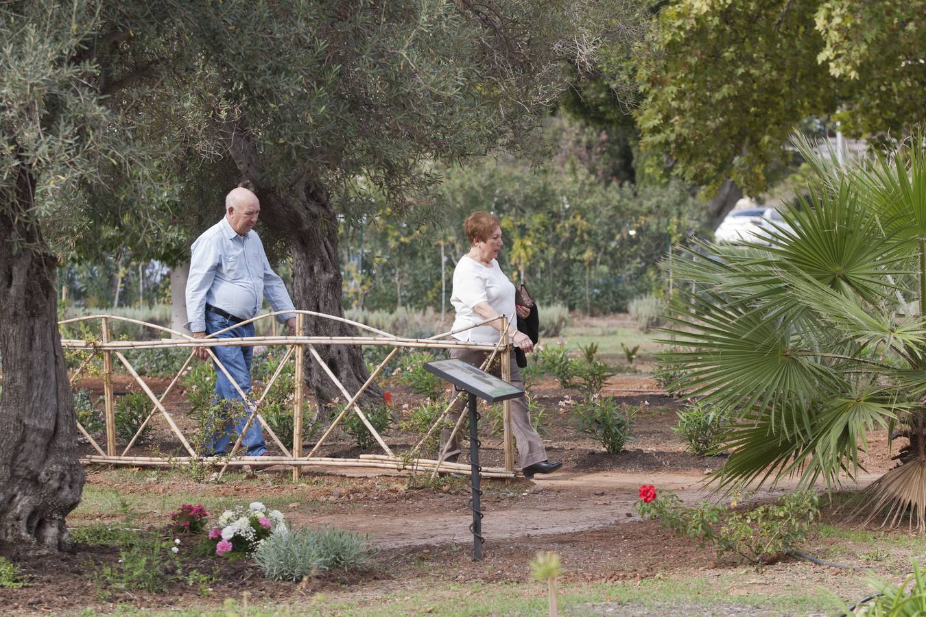 Málaga honra a sus difuntos en el Día de todos los Santos