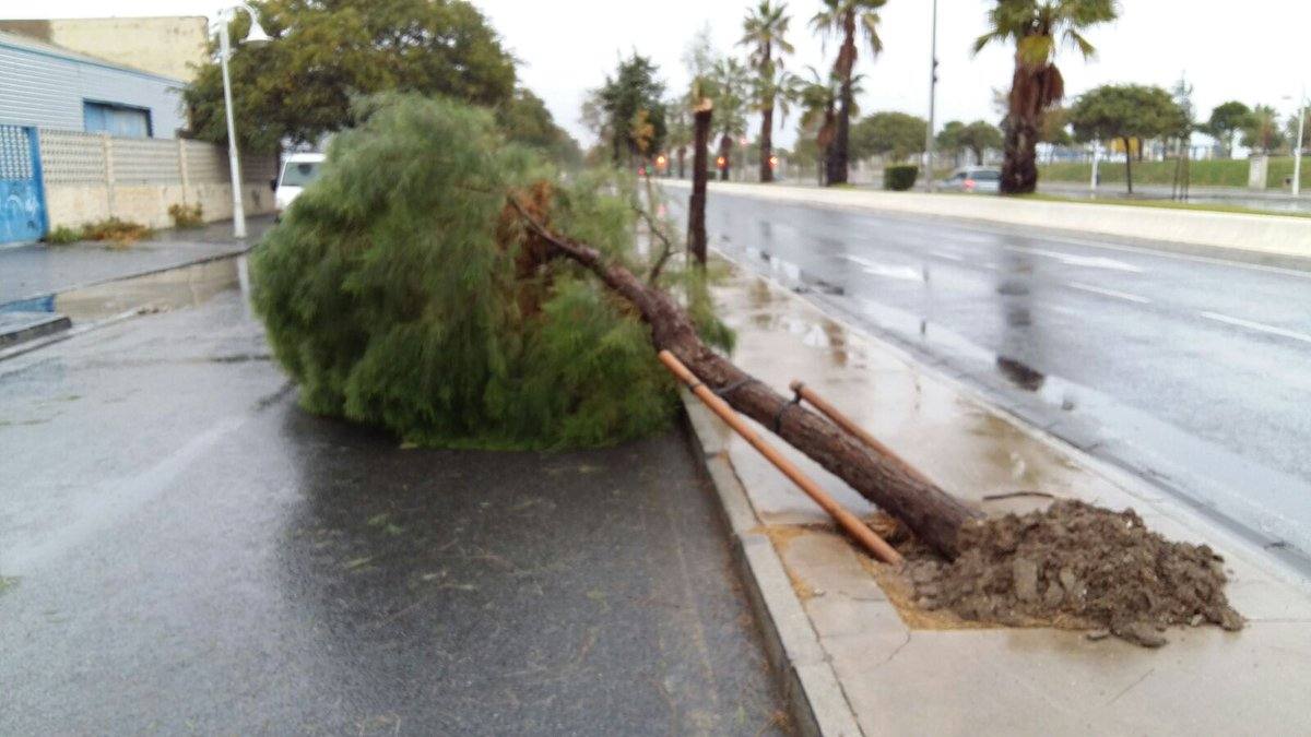 En imágenes, las consecuencias de las fuertes lluvias en Málaga