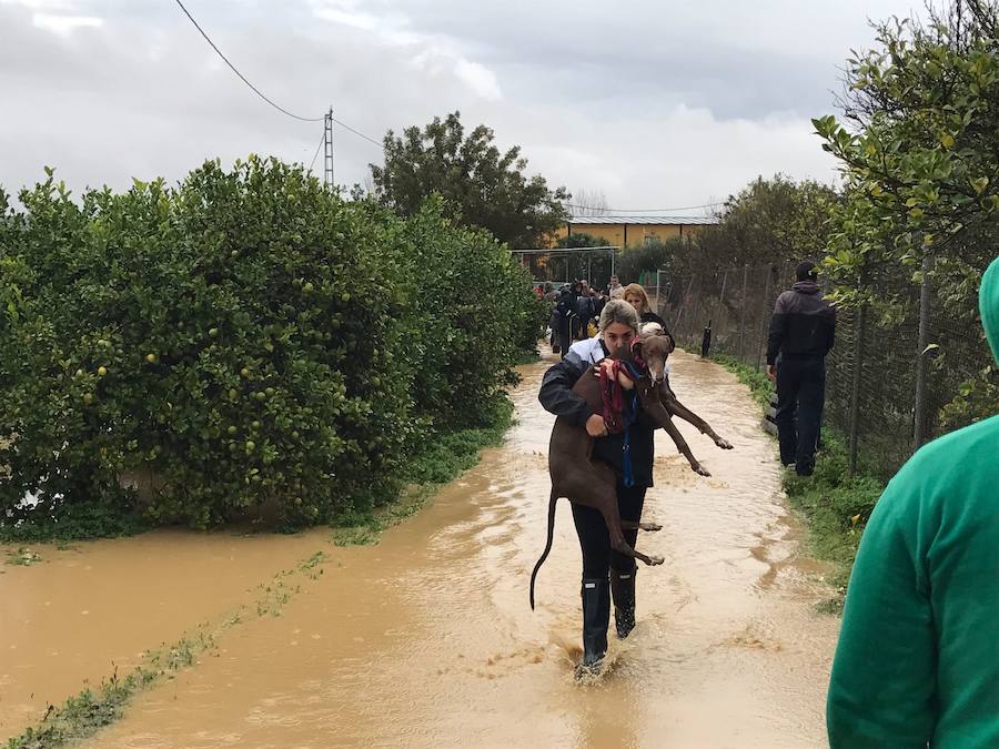 La tromba de agua en Málaga se ceba con Cártama