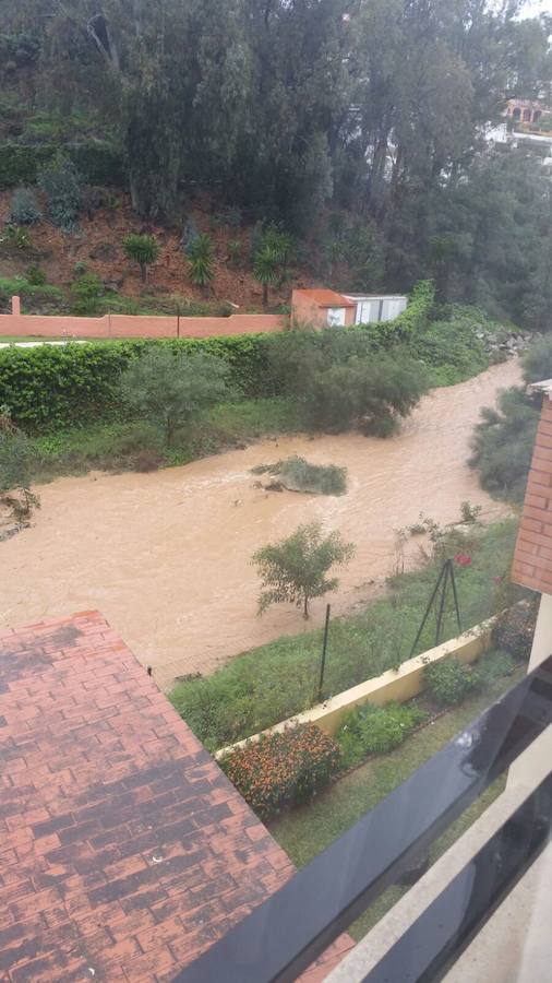 Arroyo de El Limonar