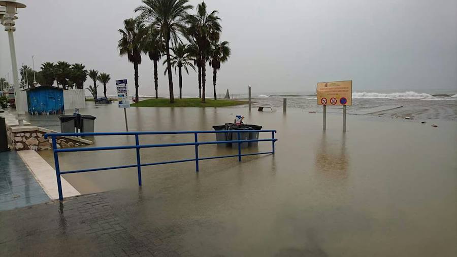 Paseo Marítimo Antonio Banderas en Málaga capital.