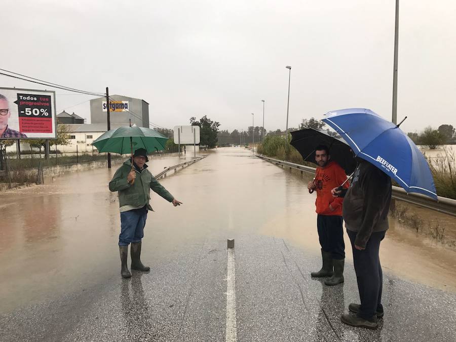 Situación en la Estación de Cártama