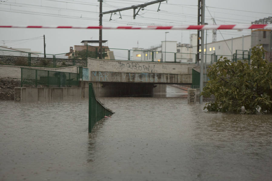 Impresionante balsa en la Estación de Cártama.