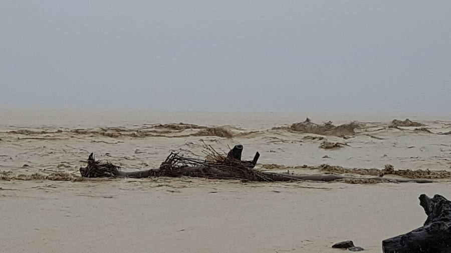 Desembocadura del río Guadalhorce.