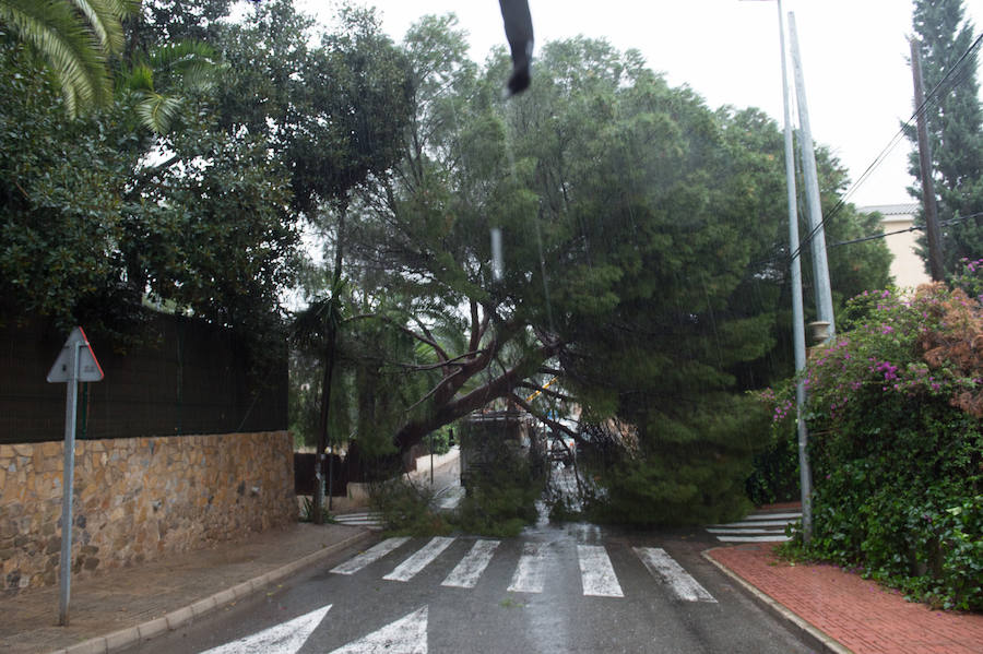 El temporal más importante en Murcia desde que se tienen registros