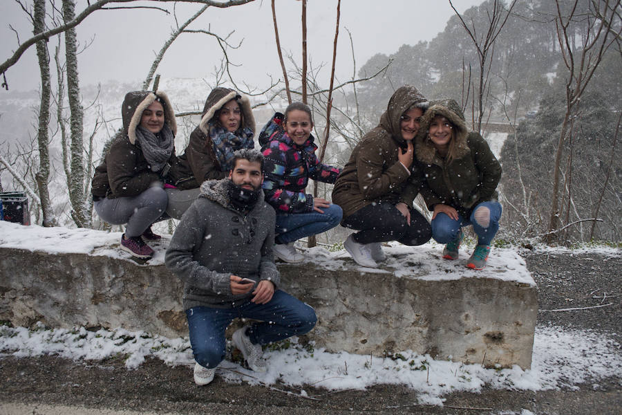 La nieve llega a los Montes de Málaga