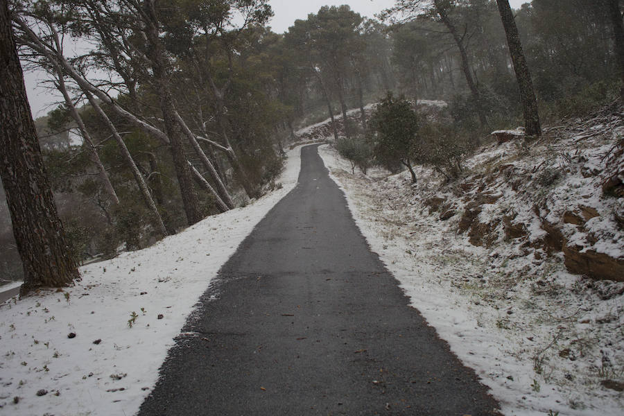 La nieve llega a los Montes de Málaga