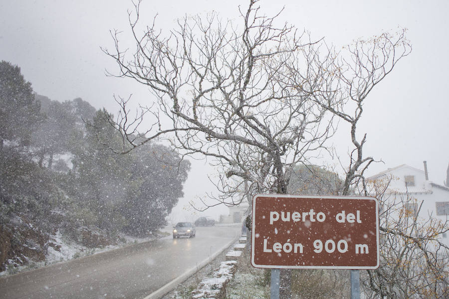 La nieve llega a los Montes de Málaga