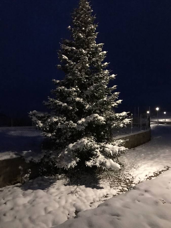 Un manto blanco cubre Yunquera