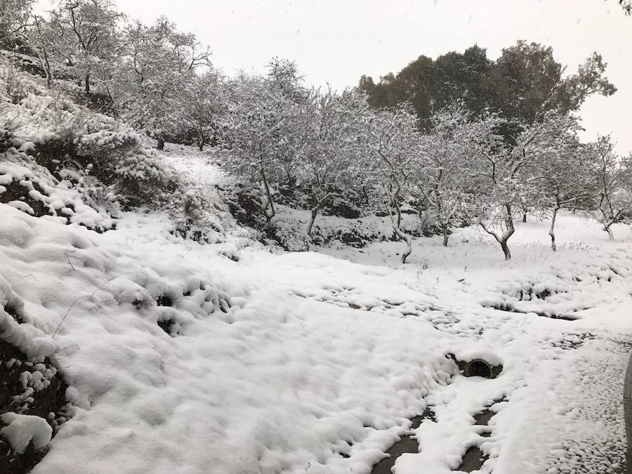 Un manto blanco cubre Yunquera