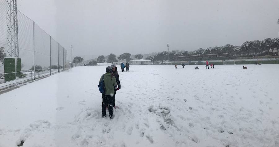 Un manto blanco cubre Yunquera