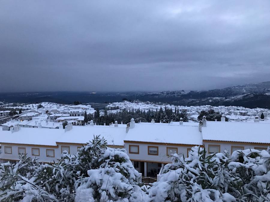 Un manto blanco cubre Yunquera