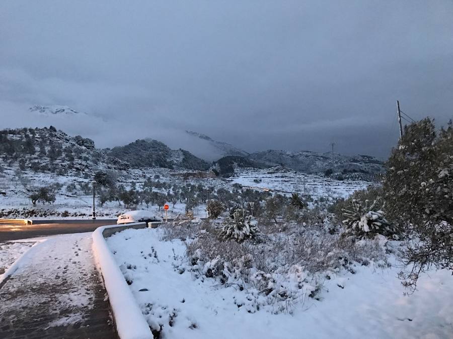 Un manto blanco cubre Yunquera