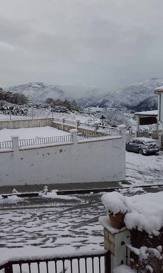 Cortes de la Frontera.