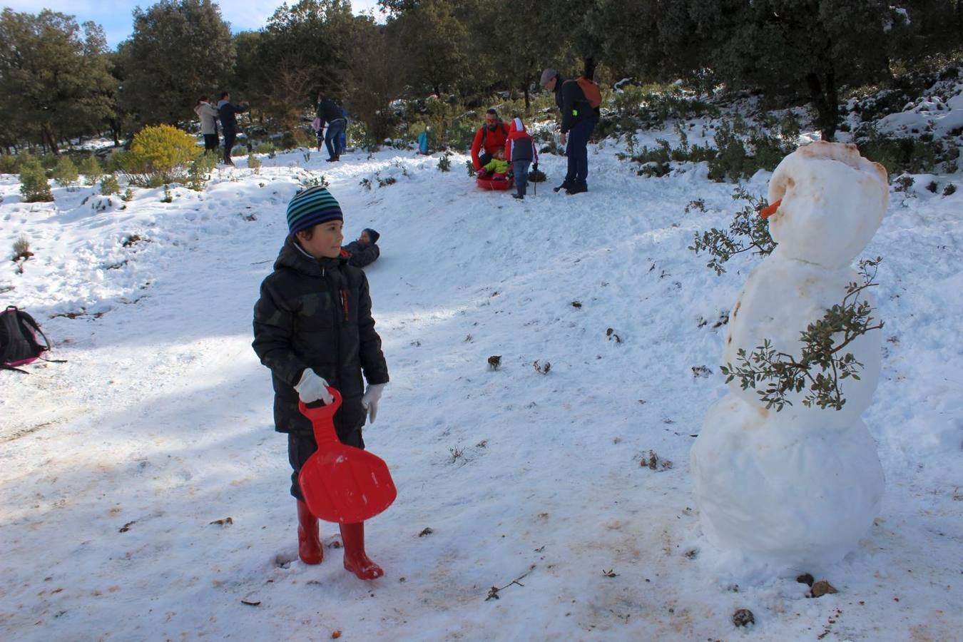 Las mejores imágenes de la nieve este sábado en Ronda