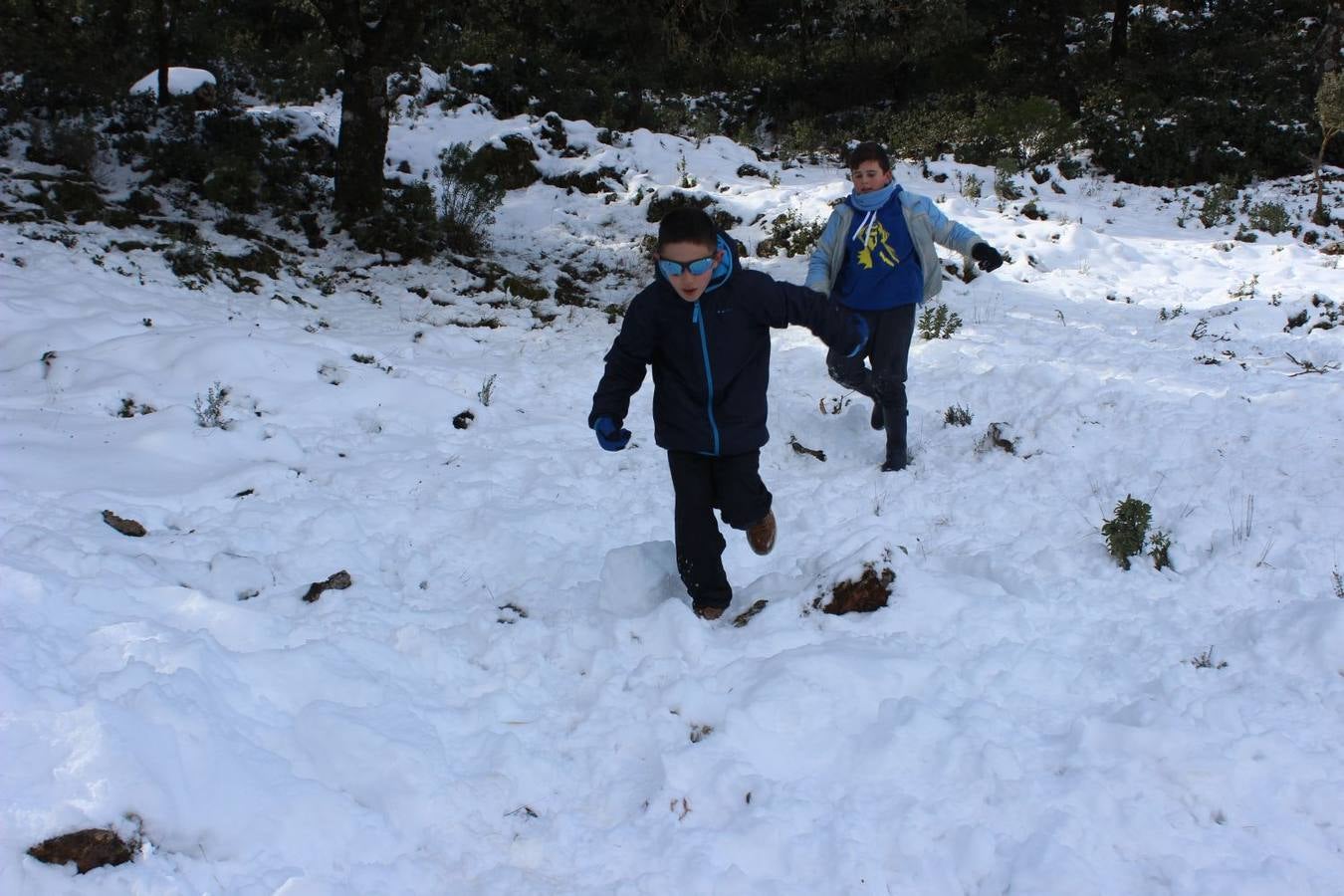 Las mejores imágenes de la nieve este sábado en Ronda